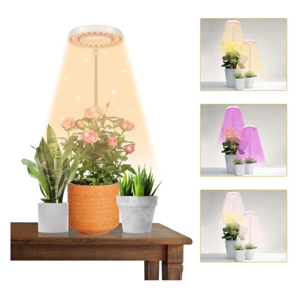 LED-växtlampa, Halo-lampa för inomhusväxtuppfödning, 4/8/12/18 timmars automatisk timer, för bonsai, suckulenter, små växter