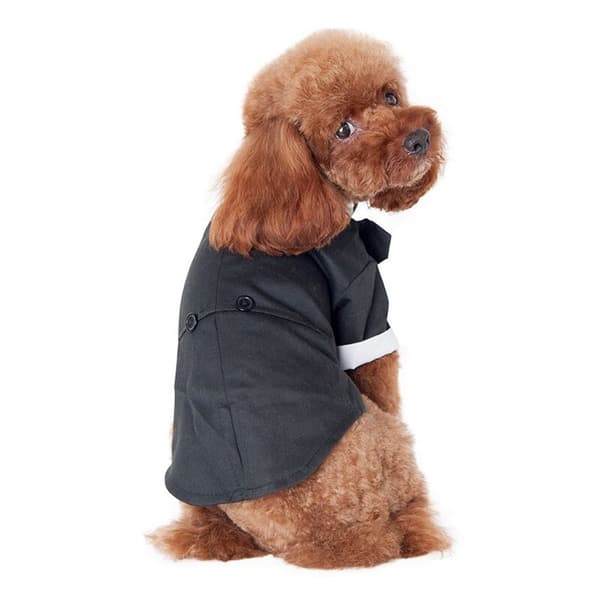 Høst- og vinterklær til hund, kjæledyr vinterklær, bryllupsklær (XL)