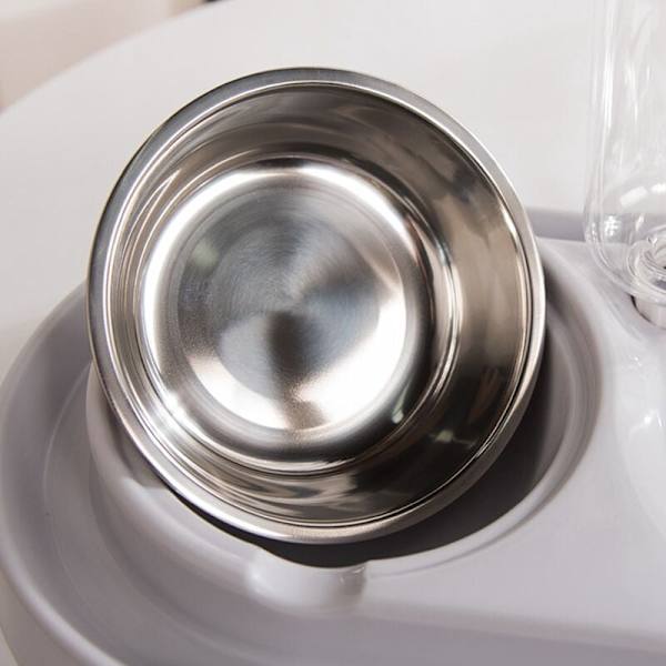 Skål Hundskål Dricksfontän Maträtt Husdjursskål Automatisk Vatten Rosa