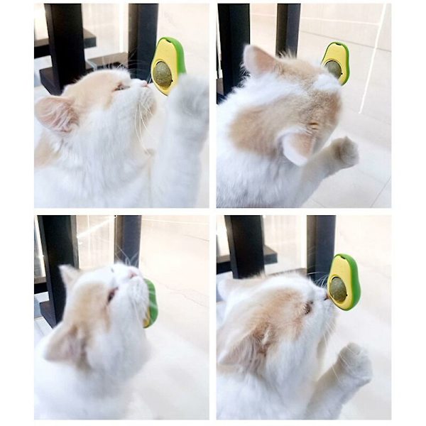 Avocado Kattdjur Leksak Boll Ätbara Katt Leksaker Tänder Slickar Tänder Rengöring Tandvård Katt