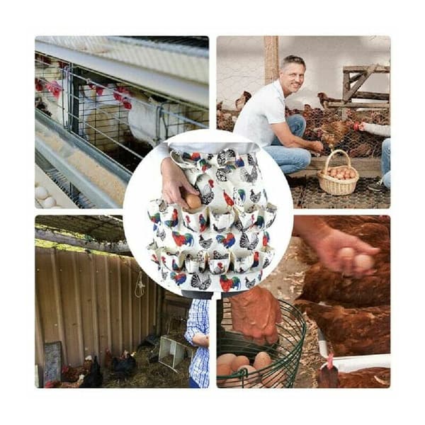 Egg Innsamling Forkle 12 Lommer Hane Trykk Kylling Coop Forkle Hjem Tilbehør Gårdshus Kjøkken Arbeidsforkle