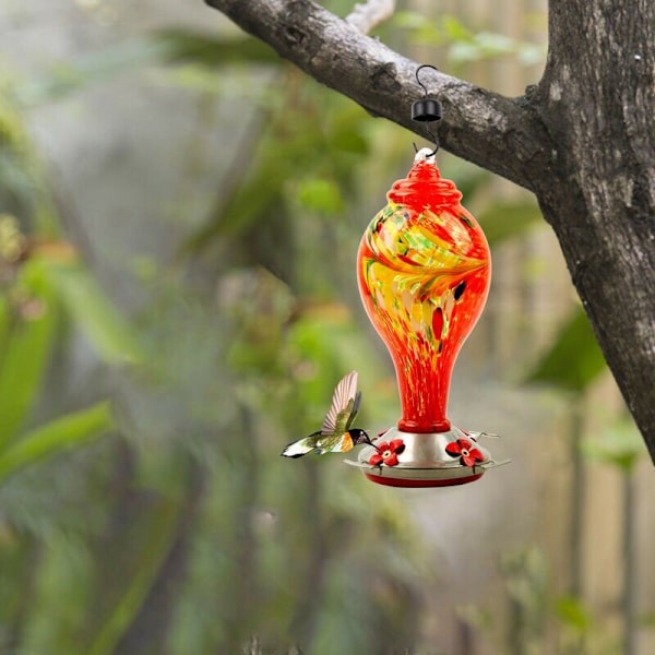 Kolibri Vandføder Malet Glas Fuglefoder Malet Glas Kolibri Feeder