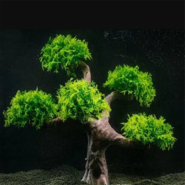 Kunstig Vandplante Akvarieplante Terrarium Akvarie Ornamenter Dekorationer Akvarie Simulation Mos Træ Ornament