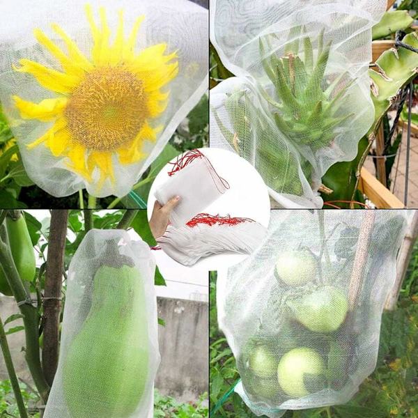 Plantebeskyttelsesposer, 50 stk. Havefrugtbarriereovertræk til Drue Figen Frø Blomst Grøntsager Beskyttelse mod Insekter Myg Bug - 55x35cm