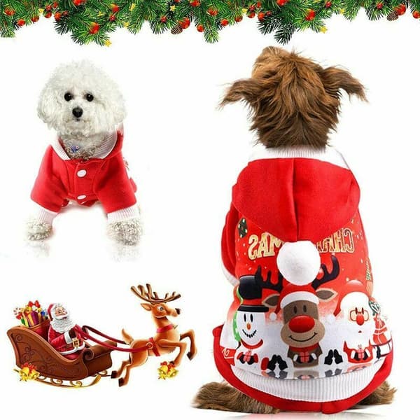 Julehætte til hunde, julehætte til hunde, julehunde- og vinterfrakke