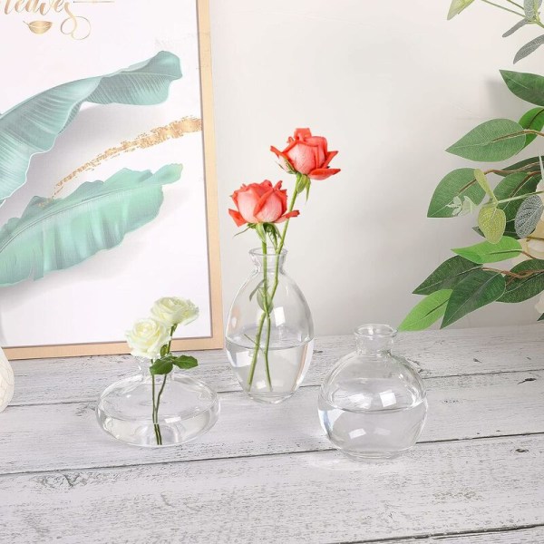 Glas Bud Vas, Sæt med 6 Gennemsigtige Vas til Blomster, Små Bulk Blomster Vas til Bryllupsdekorationer, Blomsterarrangementer, Stue, Hjemmeindretning