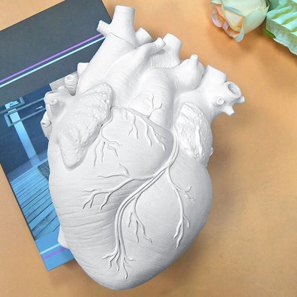 Anatomisk hjerte vase nordisk potte kropps kunst vase skulptur hjem dekorasjon skrivebord ornament blomst planteholder-M