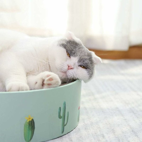 Katt Leksak, Vågig Kartong Katt Kattmynta Klösbräda Klor Skrapa Matta Kattunge Säng Leksak-Grön-Stor
