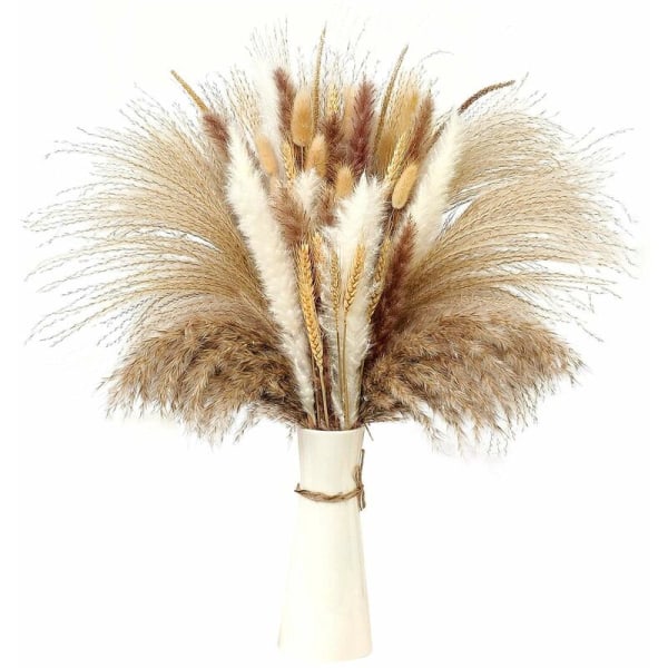 Naturlige tørrede Pampas græs tørrede blomster dekoration Fluffy planter tørrede blomster vaser dekor buket Boho dekor til bord