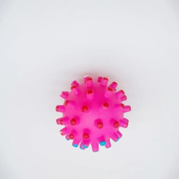 Sæt med 2 pindsvin bolde (rose rød)