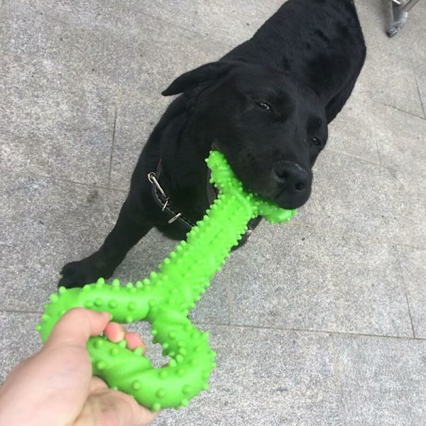 Hundleksak i kraftigt gummi, 13 tum benformat hundtuggleksak för valpar med konvex design, stark interaktiv hundtuggleksak för aggressiva tuggare, små och stora hundar