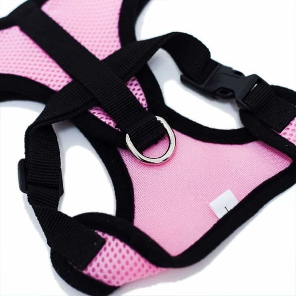 Hundehalsbånd (Pink, L)-