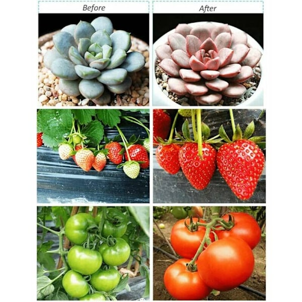 5 stk LED Vækstlys T5 Vækst Rør Plante Vækstlys 29 cm Rød Blå Spektrum til Blomstring og Frugtning Hydroponisk Vækst Drivhus Planter