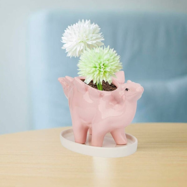 Succulent Keramikkruka, Dinosaurie Växtkruka, Kaktus Blomkrukor med Fat, Mini Inomhus Söta Djur Keramikkruka för Kontor Hem Trädgård Dekoration-Fei