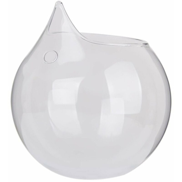 Sfärisk blomvas i transparent glas, dekoration av och växter