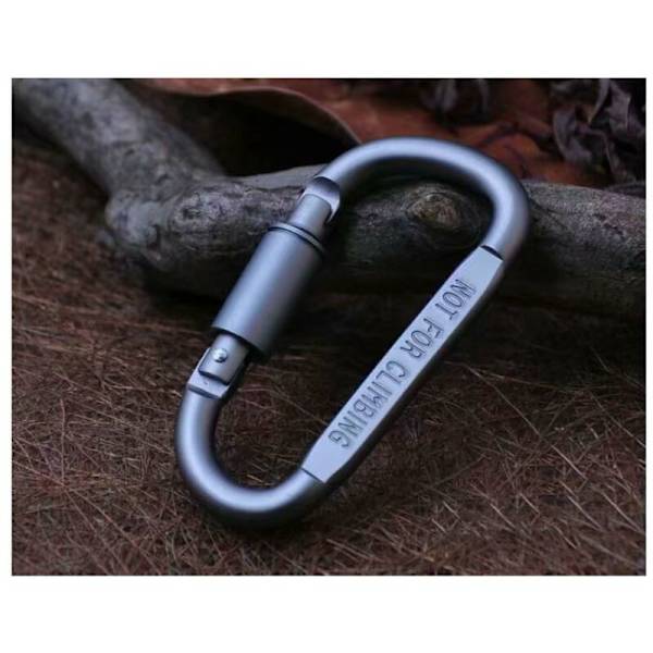 Mini Micro 2 Karabiner med skruvlock, 2-pack