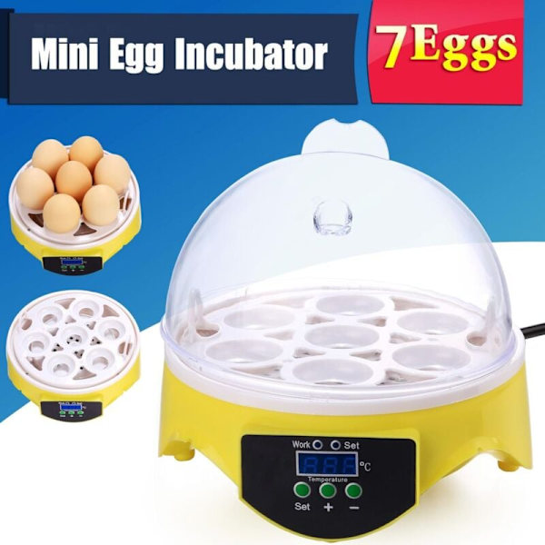 Ägginkubator, 7 Digitala Ägginkubatorer, Mini Ägginkubator för Kyckling, Anka, Gås - RWPoultry Hatcher och Inkubator