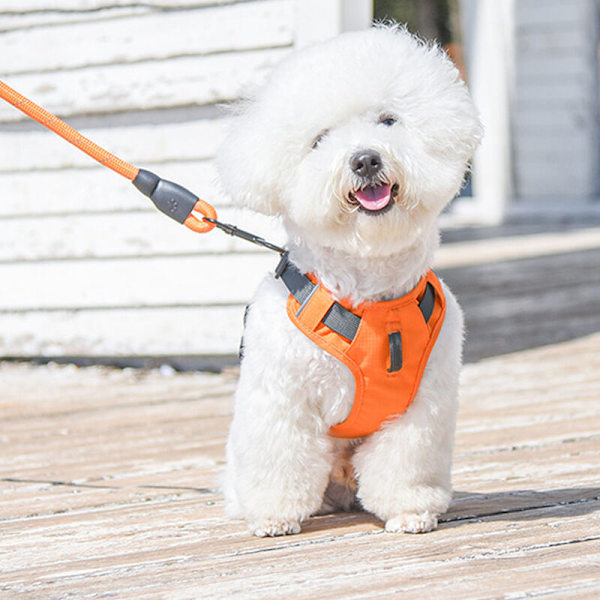 Liten hundkoppel utan drag, justerbar reflekterande sele för hundträning, enkel att kontrollera orange