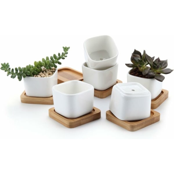 Set med 6 hexagonala keramiska suckulenta krukor med vit bambubricka, kaktus planter kruka-Sunny
