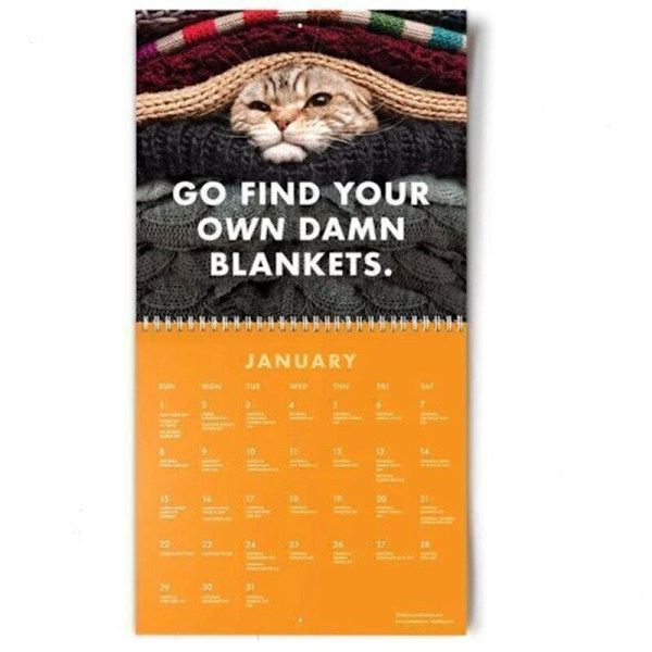 Arg kalender 2024 Rolig katt väggkalender, kreativ kalender, katt hängande kalender, 12 månaders katt