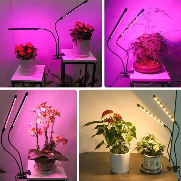Vekstlys for innendørs planter 20W, LED-vekstlys med fullspektrum og timer, 360° justerbar svanehals plantelys med bordklemme, 3 lysmoduser