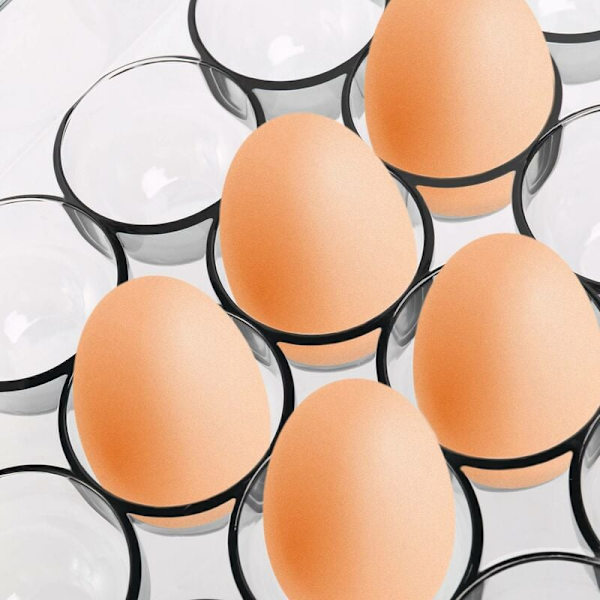 24 Gitter Æg Opbevaringsboks Transparent Ægbeholder til Køleskab Æg Organizer Holder Mad Opbevaring Køkken Grå