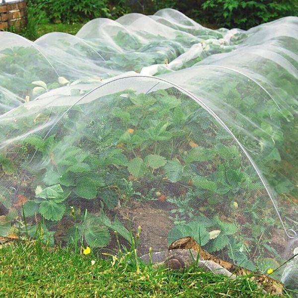 3m x 10m Insektnet, Insektnet til planter, Have net, Insektnet til køkkenhave, Fintmasket insektnet til beskyttelse af afgrøder mod insekter