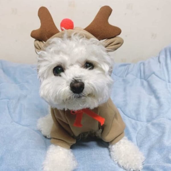 Dog Cat Sweater Clothes Christmas Costume Pet Warm Hoodie Pet Cosplay Outfits for Small and Medium Dogs Cats Sweater, Elk, Medium