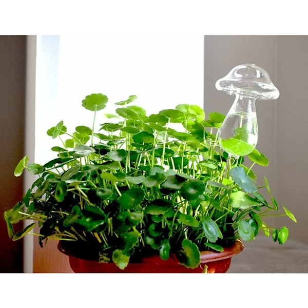 Glasskuler for vanning - Automatisk vanning av planter - 2 pakker vanningskuler for innendørs og utendørs planter