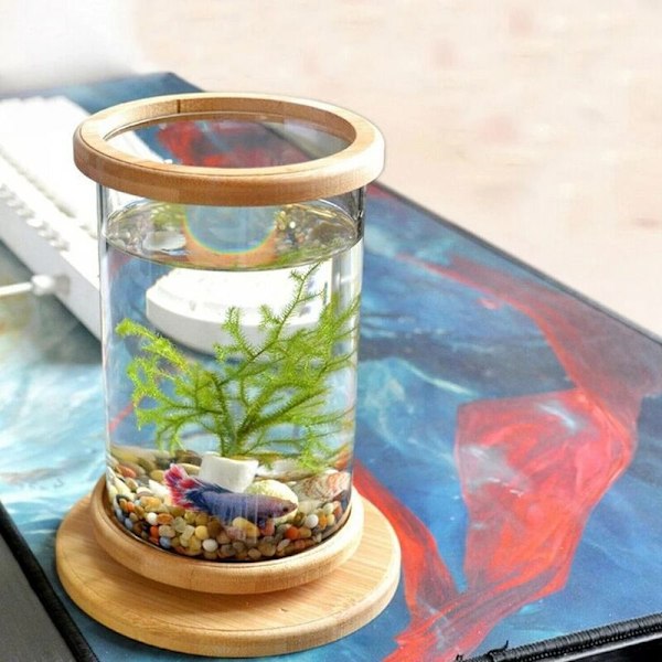 Mini Glas Akvarium Fiskedam Dekoration Base Roterende Fiskeskål Dekoration Miljøvenlig Flaske Akvarium