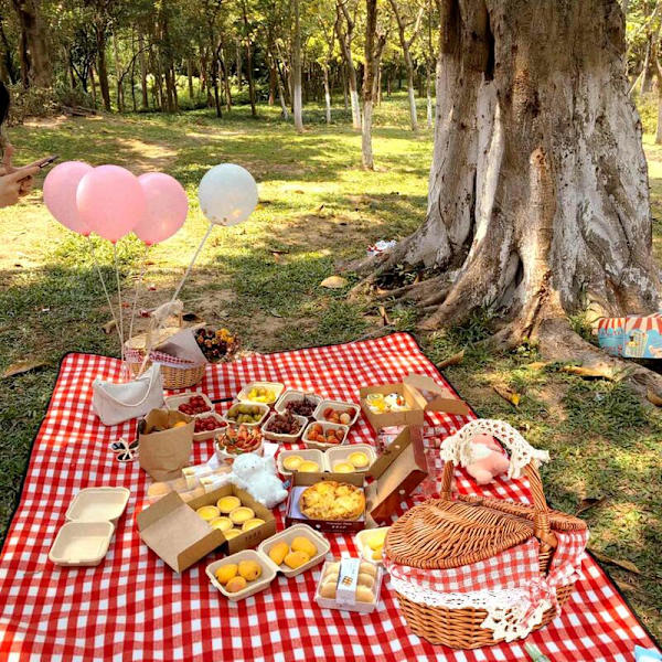 Fletkurv Håndlavet Fletkurv Camping Picnickurv Opbevaringskurv og Håndtag Træ Fletkurv Picnickurv