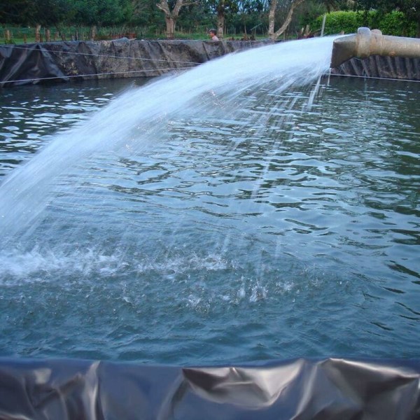 Fei Yu HDPE-gummibassängfoder för små dammar, fiskdammar, trädgårdsfontäner, svart 3x3m