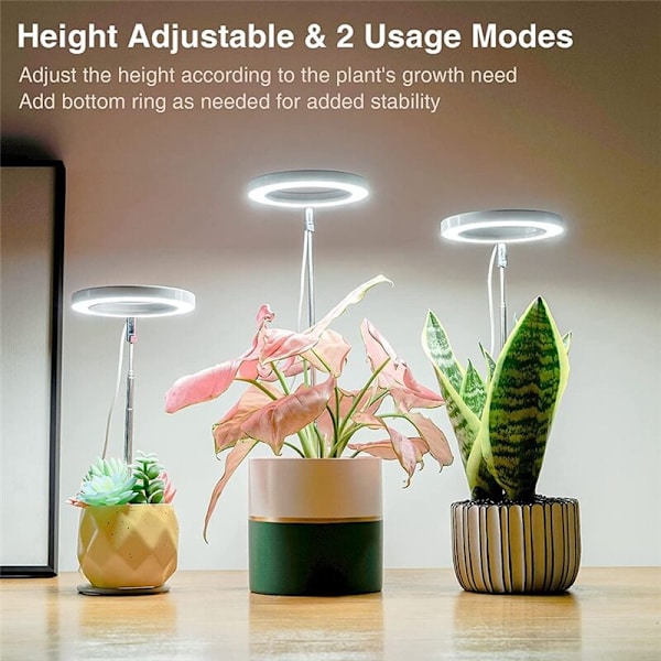 Vækselys til indendørs planter, Spectrum Halo LED-lys med automatisk højdejusterbar timer, til planter