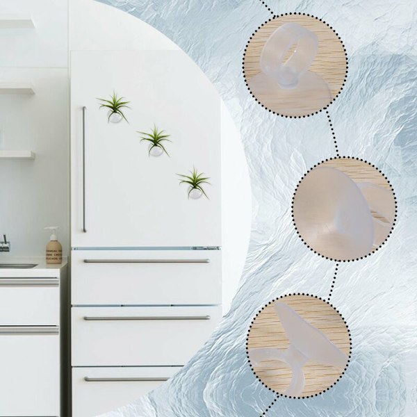 20 kpl ilmakasviteline, kasviruukku Tillandsia-teline ilmakasviteline imukupilla ripustamiseen (kasvit eivät sisälly)