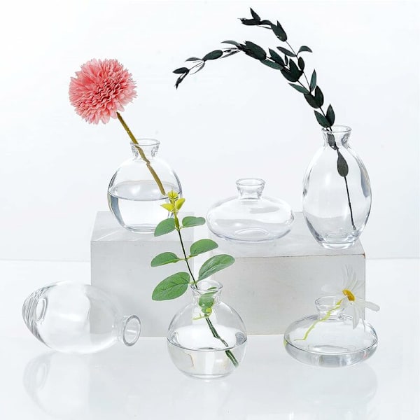Glasvaser, set med 6 klara vaser för blommor, små bulkblomvaser för bröllopsdekorationer, blomsterarrangemang, vardagsrum, heminredning