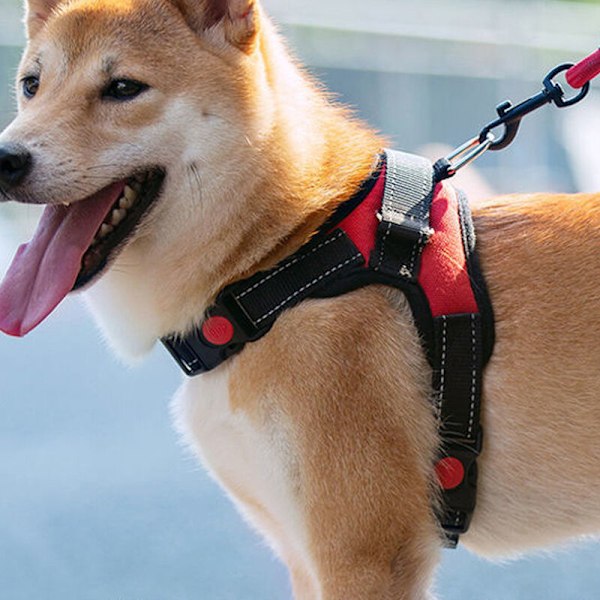Hundsele utan drag, reflekterande justerbar utomhusväst för hundar, röd