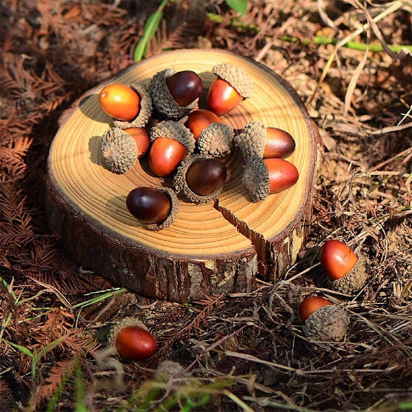 100 kpl 3 cm Mini Tekollisia Tammenterhoja, Vääri Tammen Hedelmiä, Käsityökasveja Kotiin, Keittiöön, Pöytään, Kiitospäivään, Halloweeniin, Jouluun, Festivaaleille