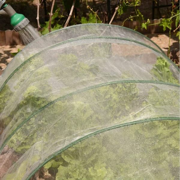 Blind Have Netting til Beskyttelse af Planter og Blomster mod Insekter og Fuglefoder (Hvid, 3 x 6 M)