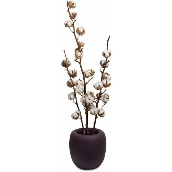 3 Pak Naturlige Tørrede Bomuldsblomster Tørrede Blomster Stilk Bomuld Naturlig Blomst Kunstige Grene Bomuld Kunstige Planter Dekoration til Balkon Hjem Bord Flor