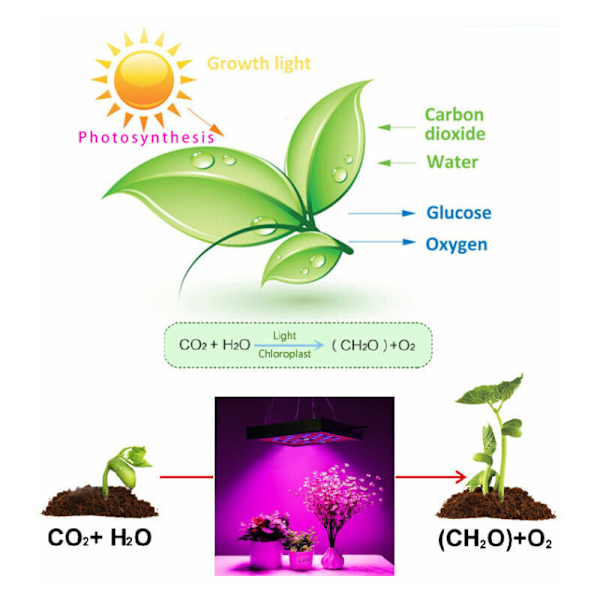 LED Hagebruk Lampe Vekst Blomstring - Dyrk Sunne Planter Innendørs - Hagebruk LED Panel - UV Innendørs Plantelampe for Frøplanter - LED Vekstlys