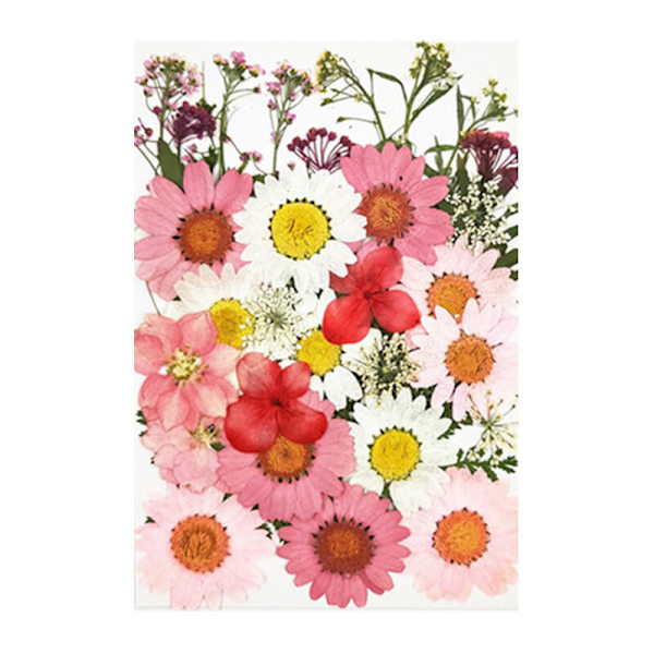 36 stk Ekte Tørkede Pressede Blomster Blad Kronblad for DIY Lys Harpiks Negle Henger Håndverk Lagging Kunst Dekor-