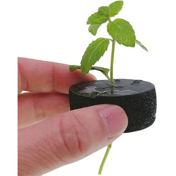 120 st Plantverktyg Jordfri Hydroponisk Trädgårdsplantering Grönsaksodlingssystem Svamp