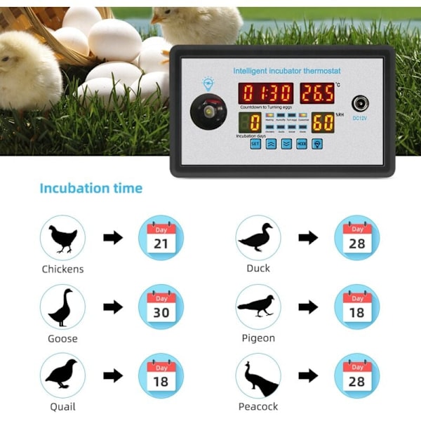 ZFX-W9002 Digital Intelligent Thermostat Temperatur Fuktighet Termostat Kontroll Automatisk Egg Inkubator Roterende 220V