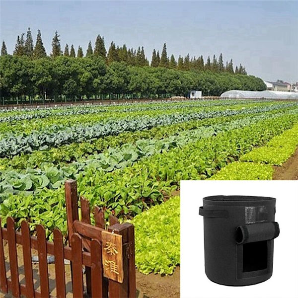 3 Pak 10 Gallons Kartoffel-Dyrkningsposer, med Håndtag og Synligt Flap, Åndbar Tyk Non-Woven Potter