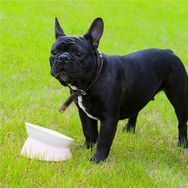 Bulldog Avtagbar Halksäker Gummidog- och Kattmatskål med Lutande Botten (Beige)