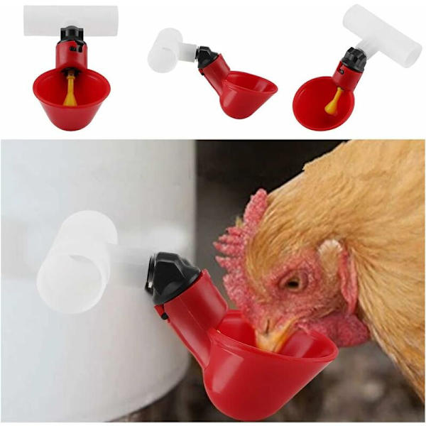 5 st Automatisk Fjäderfävattenkopp Bärbar Vattenbehållare Koppar Plast Vattenkopp Vattendrinkare för Fågel Vaktel Duva Kyckling Höna (25 mm)