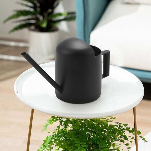 Mini vandkande, 300 ml sort rustfrit stål vandkande, lang tud vandkande, egnet til haveplanter