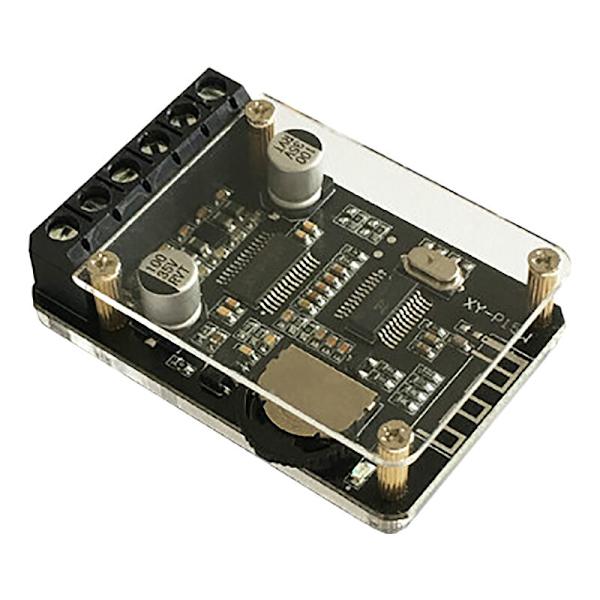 10W 15-20W Stereo Bluetooth Audioförstärkarmodul 12V 24V Bilhögtalare Förlustljud Diy