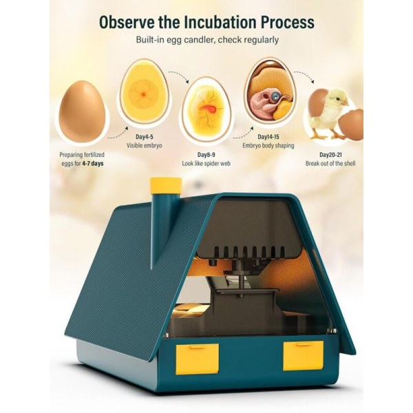10 Ägg Automatisk Äggkläckningsmaskin, Äggkläckningsmaskin, Automatisk Kläckningsmaskin Automatisk Äggvridare, Temperaturkontroll och Fuktighetsdisplay