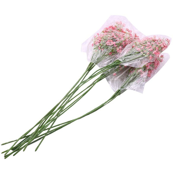 Åndedrag Gypsophila Kunstige Blomster 12 Stk Buketter Falske Blomster Ægte Presse til Bryllup Fest Dekoration DIY Hjem Indretning 21 Tommer Klar